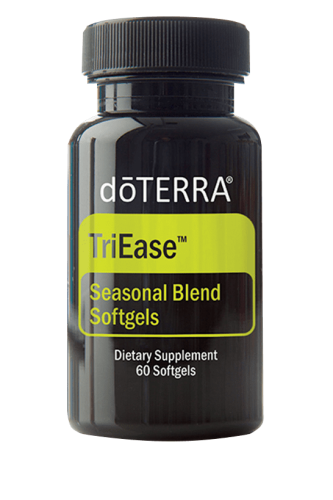 8de895ef7f2ba6d3593cb75051761ea2